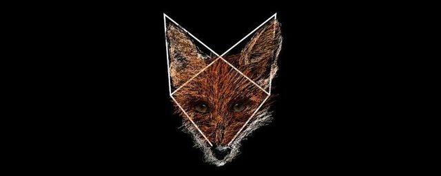 nervous "paint" draeing of a fox's head staring at us. The fox's head is superimposed onto a white frame itself in the shape of a minimalist, polygonal fox's head. Their eyes are super realistic.